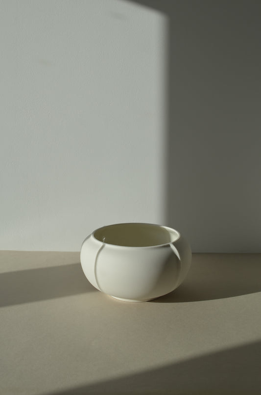 Coupe n°1 | Calcaire